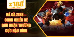 Đá Gà Z188 – Chọn Chiến Kê Giỏi Nhận Thưởng Cực Hậu Hĩnh