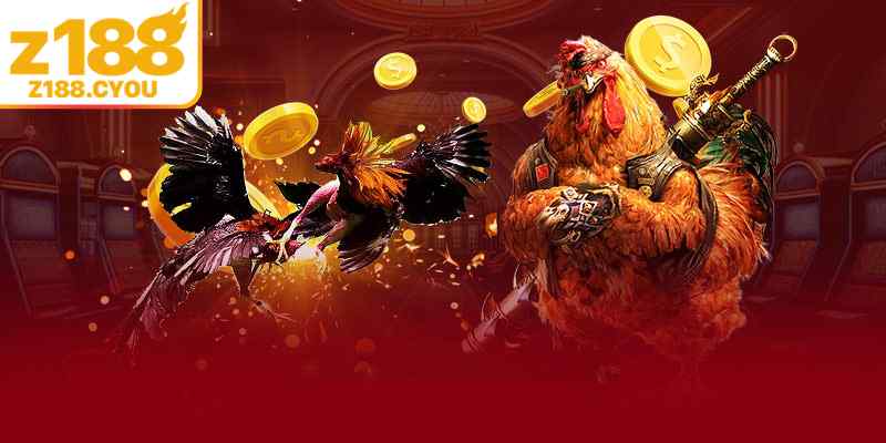Những hình thức thi đấu chọi kê phổ biến