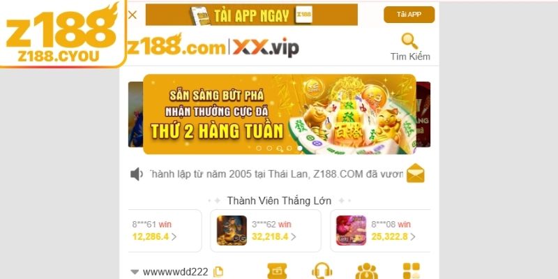 Đánh giá tổng quan Z188 để có góc nhìn toàn diện cho bạn